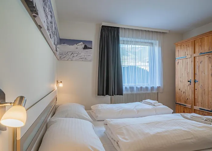 Hohe Tauern-grossvenediger *