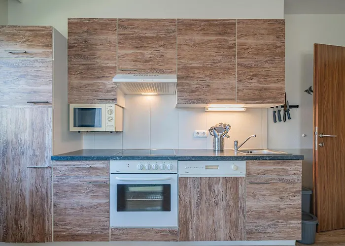 Hohe Tauern-grossvenediger * 米特西尔